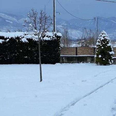 Galini Estate Apartment Karditsa Bagian luar foto