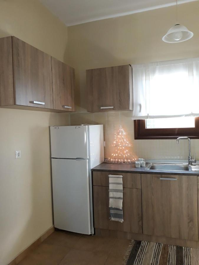 Galini Estate Apartment Karditsa Bagian luar foto