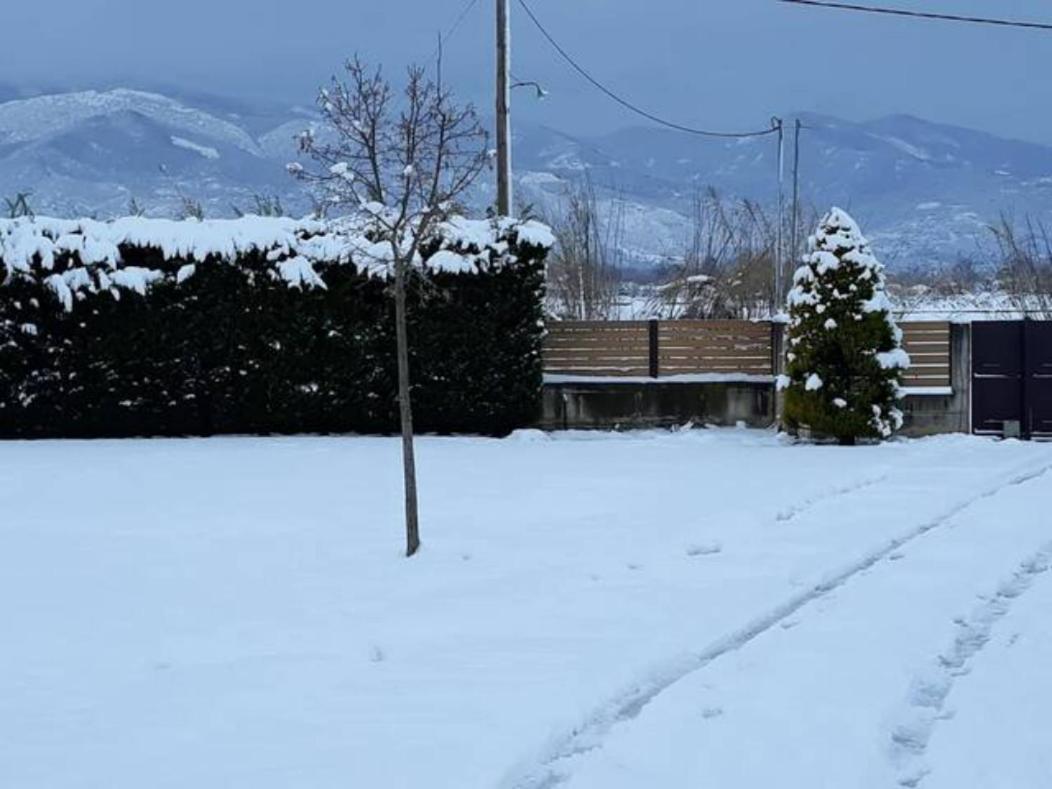 Galini Estate Apartment Karditsa Bagian luar foto