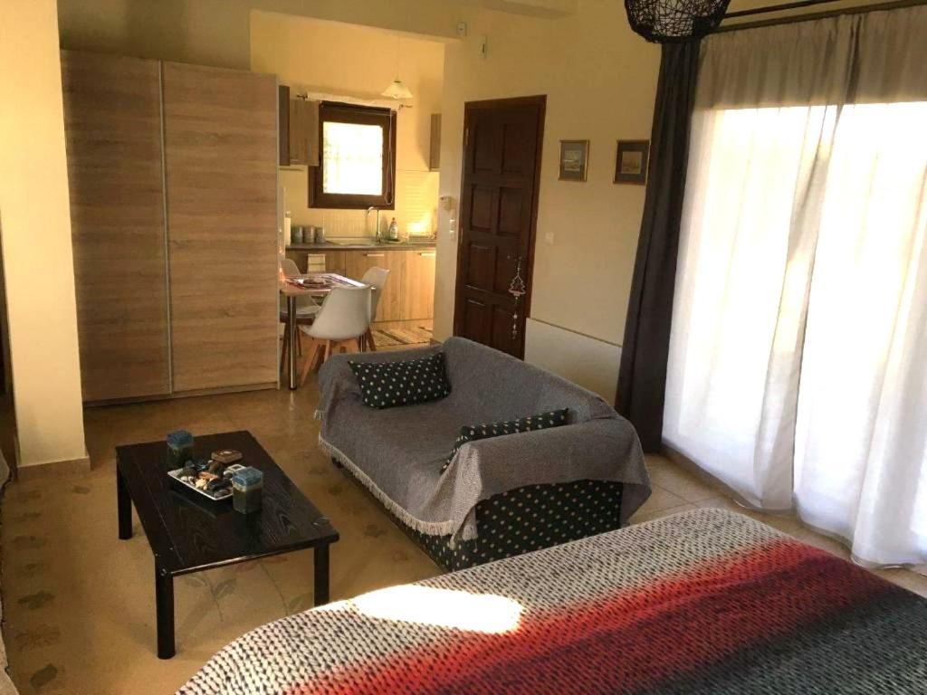 Galini Estate Apartment Karditsa Bagian luar foto